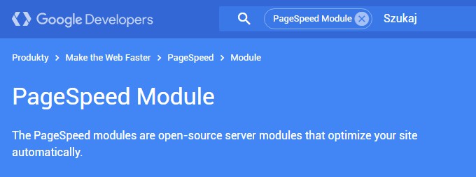 moduł PageSpeed
